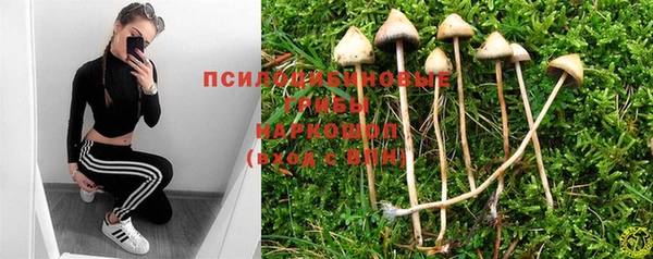 дмт Михайловка