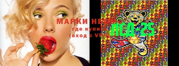 дурь Нефтекумск