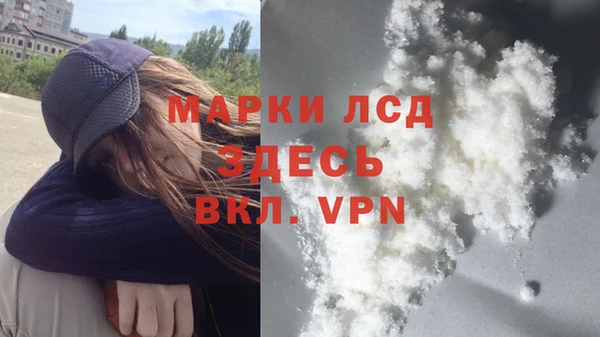 гашик Михайлов