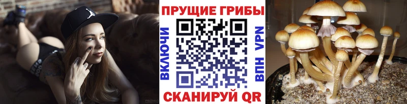 Псилоцибиновые грибы Magic Shrooms  Николаевск-на-Амуре 